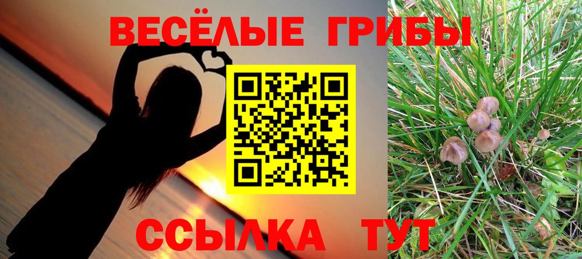 Псилоцибиновые грибы ЛСД  Вход с VPN  Кушва  магазин продажи   Псилоцибиновые грибы GOLDEN TEACHER 